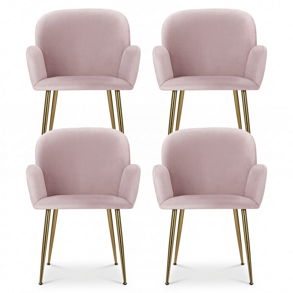 Blush Petal Set of 4 Velvet Dining Armchairs – Solid Wood Frame | High-Resilience Foam | Steel Legs | 150kg | Pink - Greenora Living