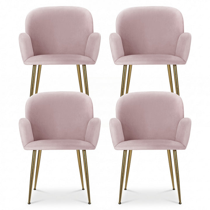 Blush Petal Set of 4 Velvet Dining Armchairs – Solid Wood Frame | High-Resilience Foam | Steel Legs | 150kg | Pink - Greenora Living