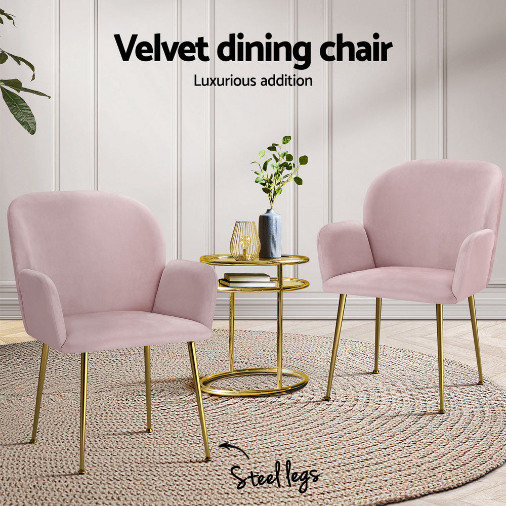 Blush Petal Set of 4 Velvet Dining Armchairs – Solid Wood Frame | High-Resilience Foam | Steel Legs | 150kg | Pink - Greenora Living