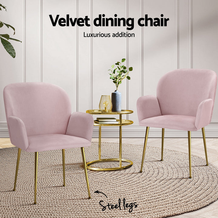 Blush Petal Set of 4 Velvet Dining Armchairs – Solid Wood Frame | High-Resilience Foam | Steel Legs | 150kg | Pink - Greenora Living