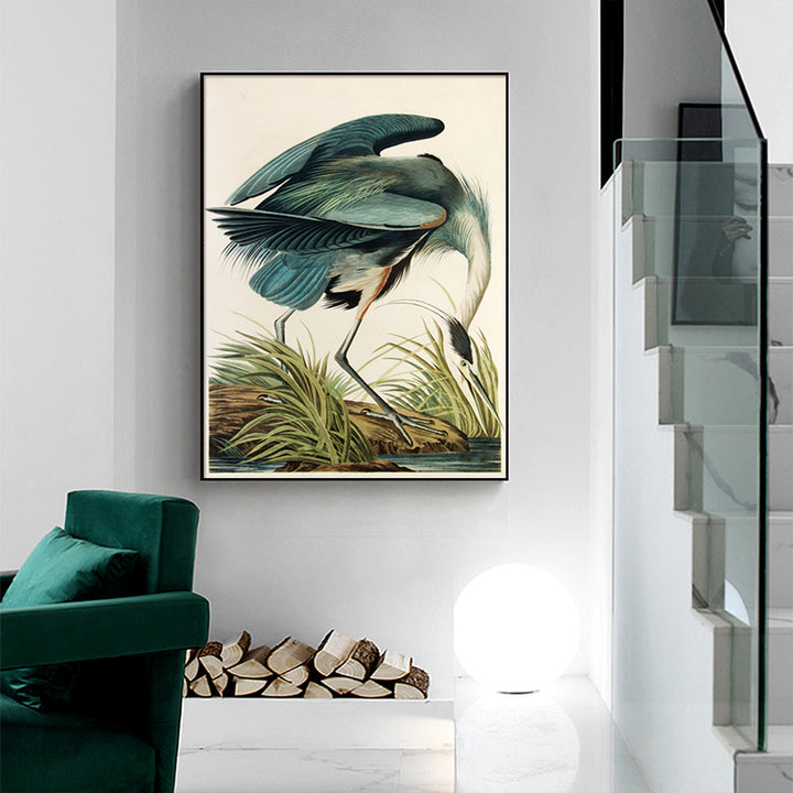 Great Blue Heron by John James Audubon – Canvas Wall Art Black Float Frame 50x70cm - Greenora Living