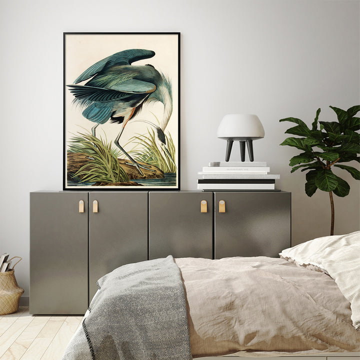 Great Blue Heron by John James Audubon – Canvas Wall Art Black Float Frame 50x70cm - Greenora Living